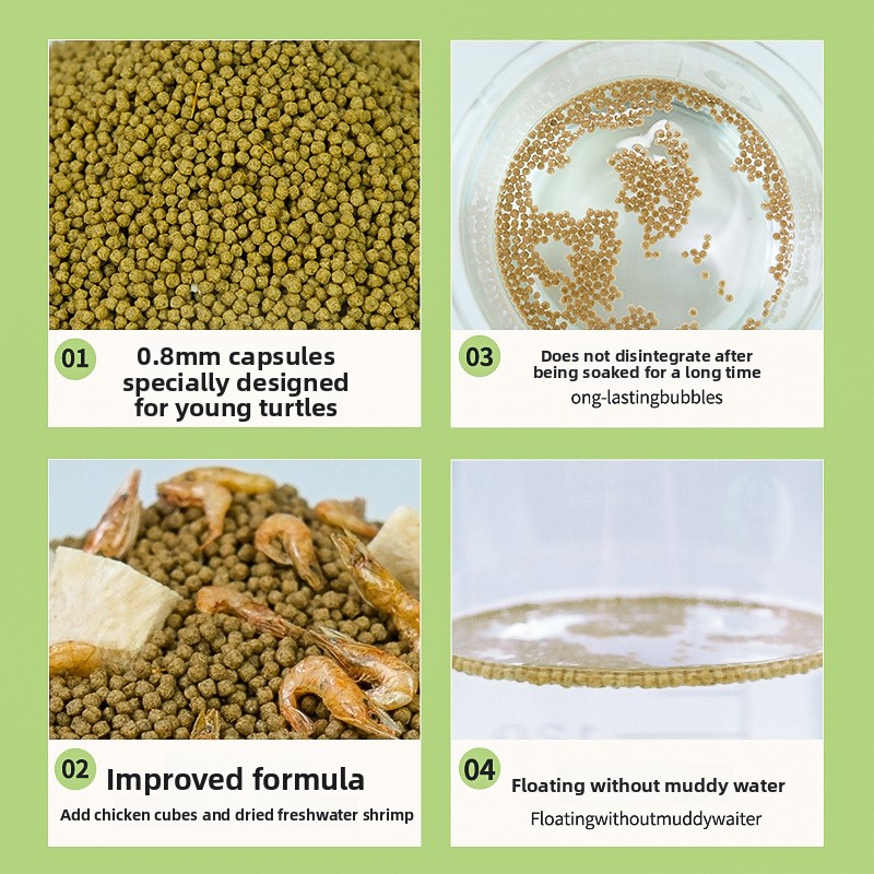 GEN CLIMB Baby Turtle Starter  - Baby Food Shrimp review and price