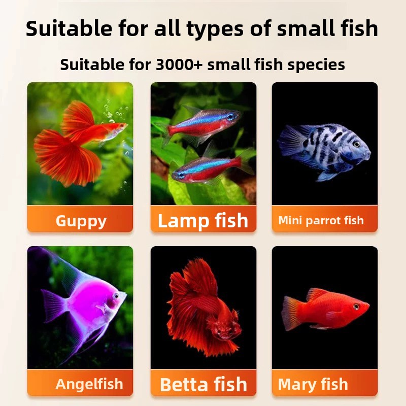 DONGYUJIANG Instant Baby Brine - Baby Food Shrimp review and price