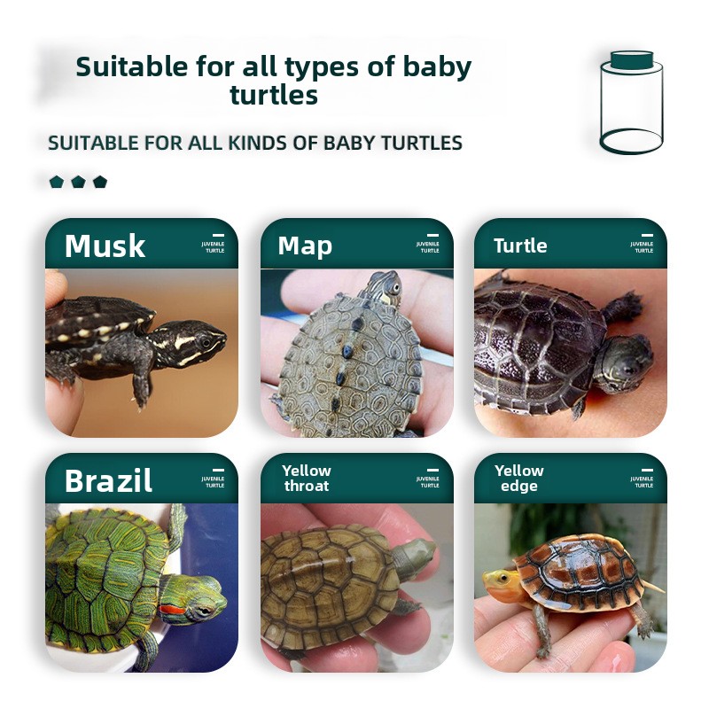BESSN All-Stage Turtle Food wi - Baby Food Shrimp review and price