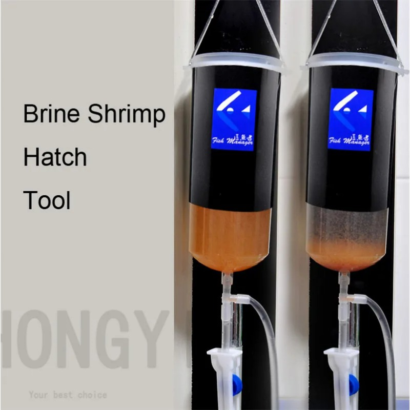 Fairy shrimp egg artemia alive - Baby Food Shrimp review and price