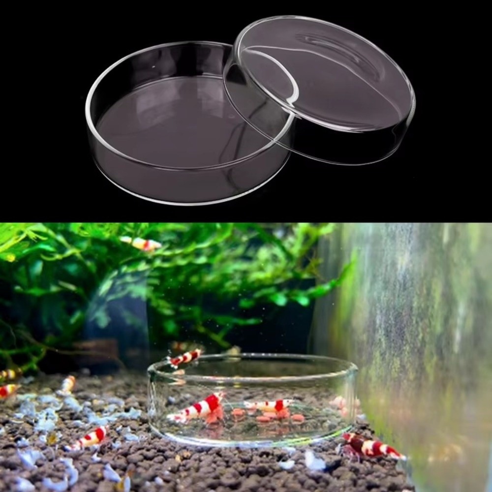 Glass Aquarium Feeding Bowl Du - Baby Food Shrimp review and price