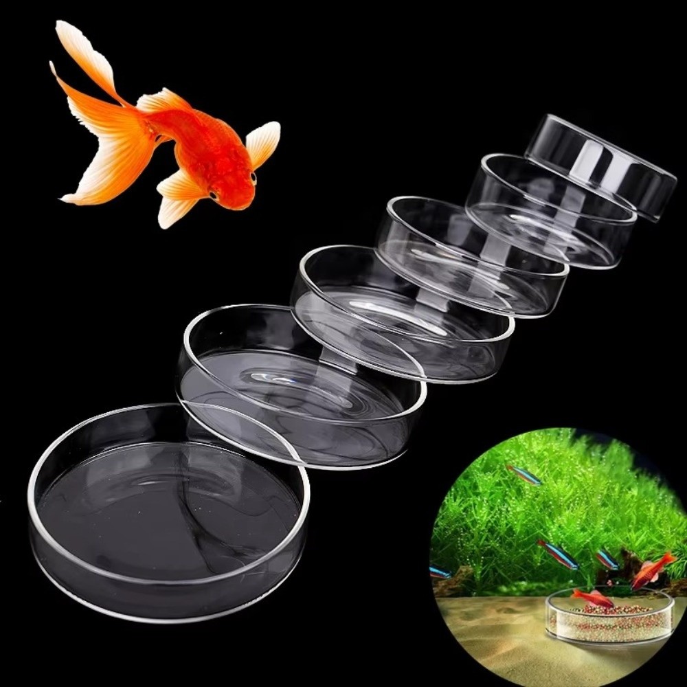 Glass Aquarium Feeding Bowl Du - Baby Food Shrimp review and price