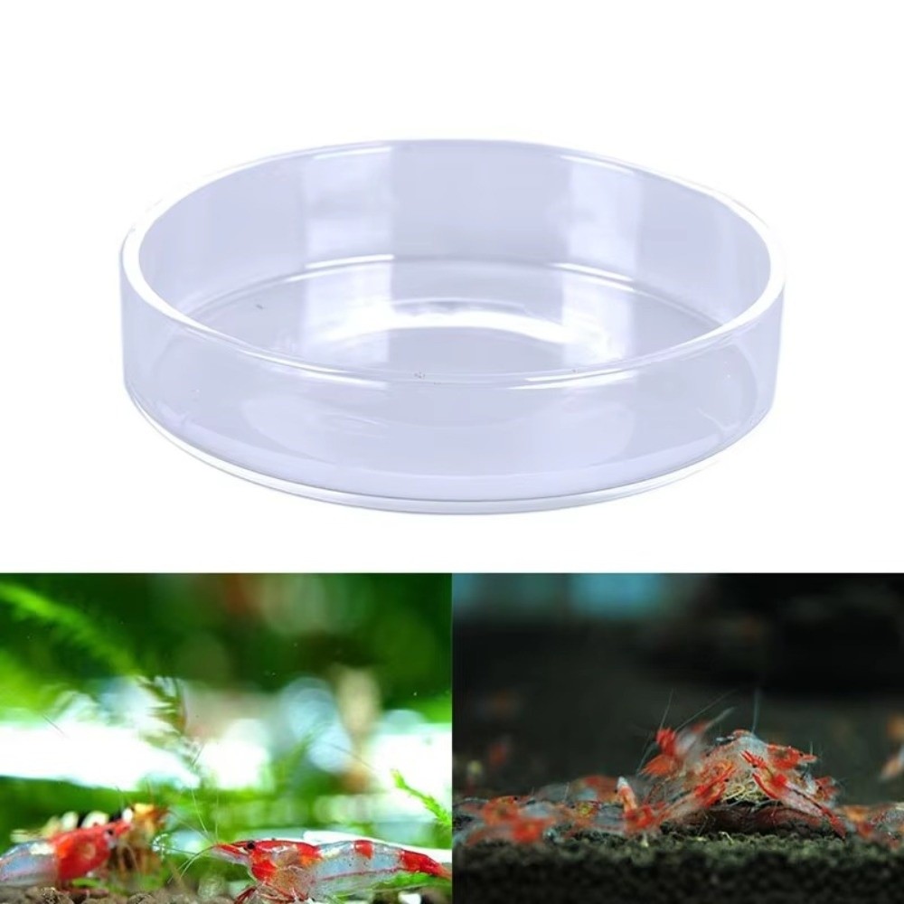 Glass Aquarium Feeding Bowl Du - Baby Food Shrimp review and price