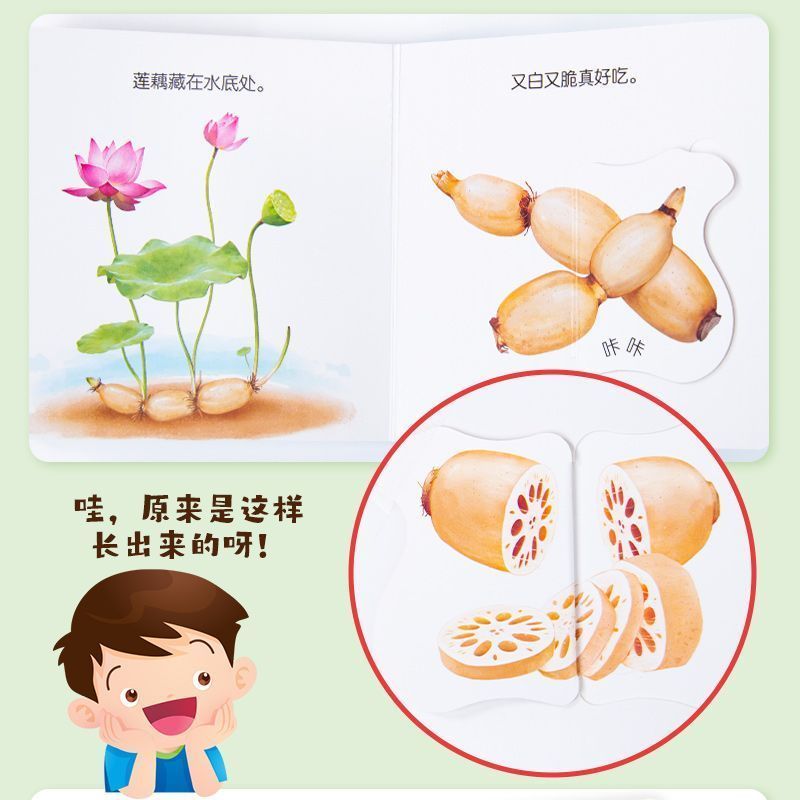Infant Food Education Flipbook - Baby Food Year Old review and price
