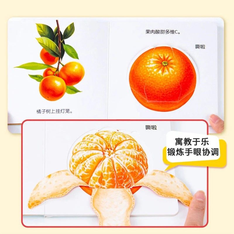 Infant Food Education Flipbook - Baby Food Year Old review and price